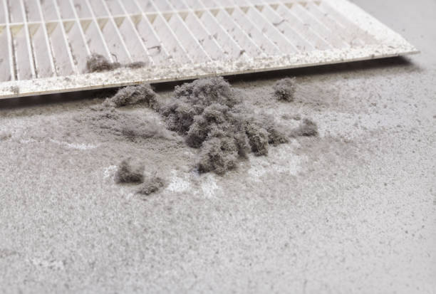 Best HVAC Maintenance and Cleaning  in Veedersburg, IN