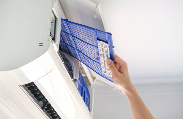 Best Air Duct Mold Removal  in Veedersburg, IN