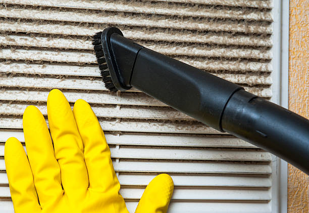 Best Home Air Vent Cleaning  in Veedersburg, IN